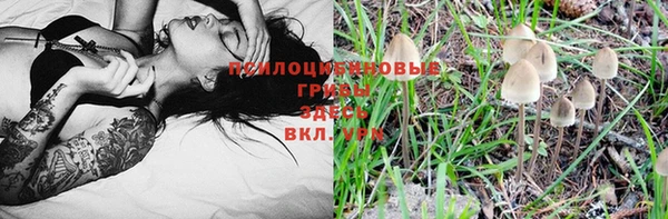 кокс Абаза