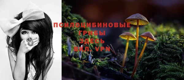спиды Абдулино